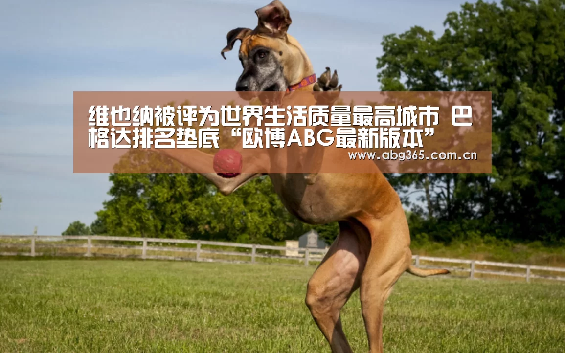 欧博ABG最新版本