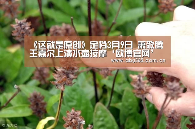 欧博ABG最新版本