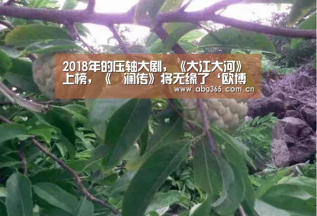 2018年的压轴大剧,《大江大河》上榜,《晧澜传》将无缘了‘欧博官网’(图1) 欧博游戏