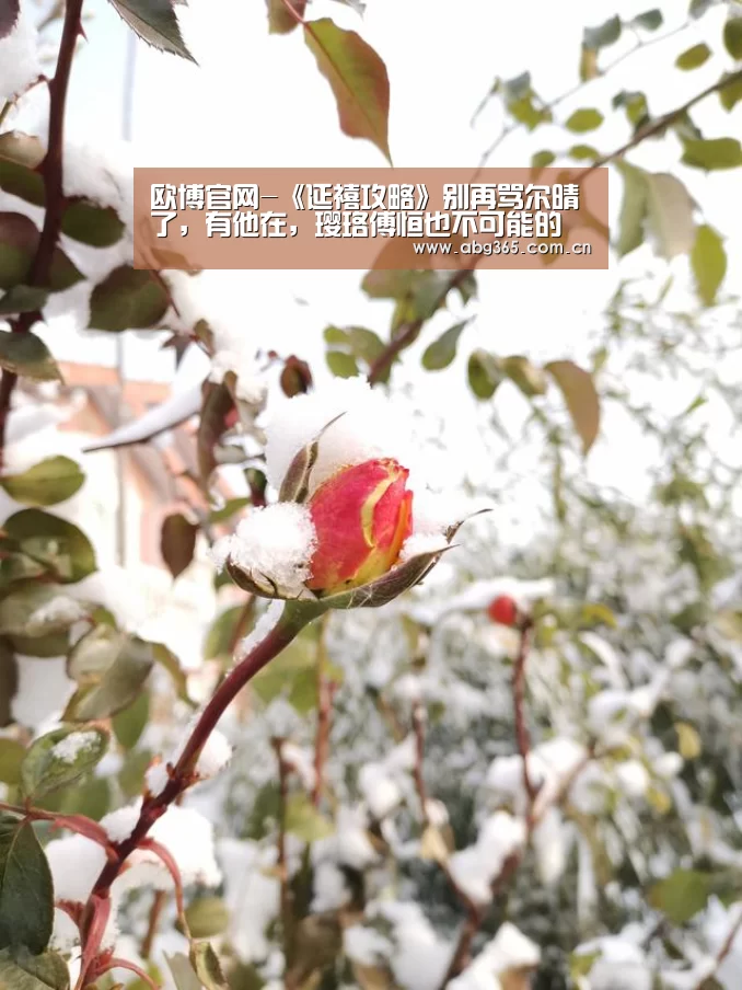 欧博官网-《延禧攻略》别再骂尔晴了,有他在,璎珞傅恒也不可能的(图1) 欧博官网