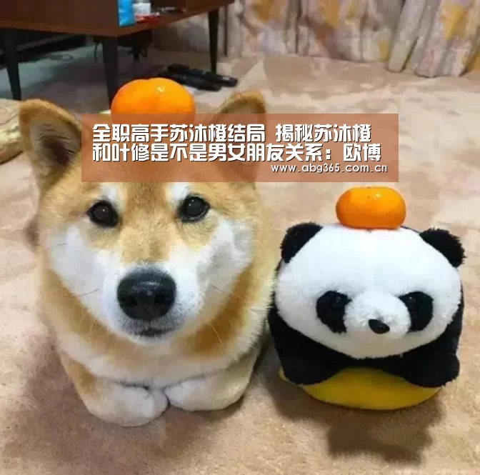 欧博ABG最新版本