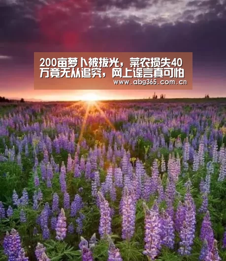 欧博游戏