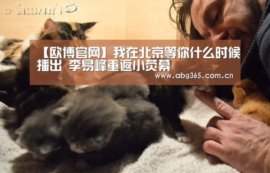 【欧博官网】我在北京等你什么时候播出 李易峰重返小荧幕(图2) 欧博游戏